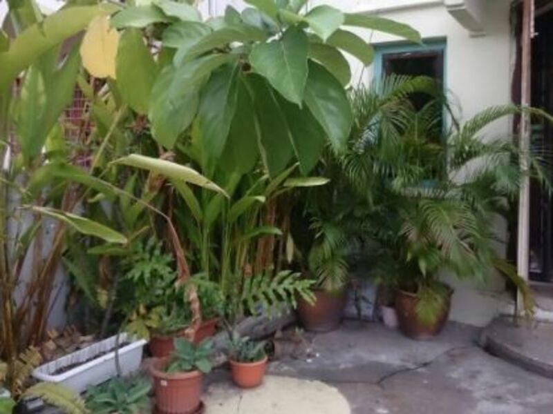 28 Bahari Hotel George Town Ngoại thất bức ảnh